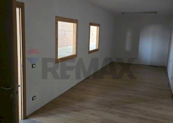 Stanza vuota - Capannone Strada Statale 16
 
2098, Polesella - foto 8