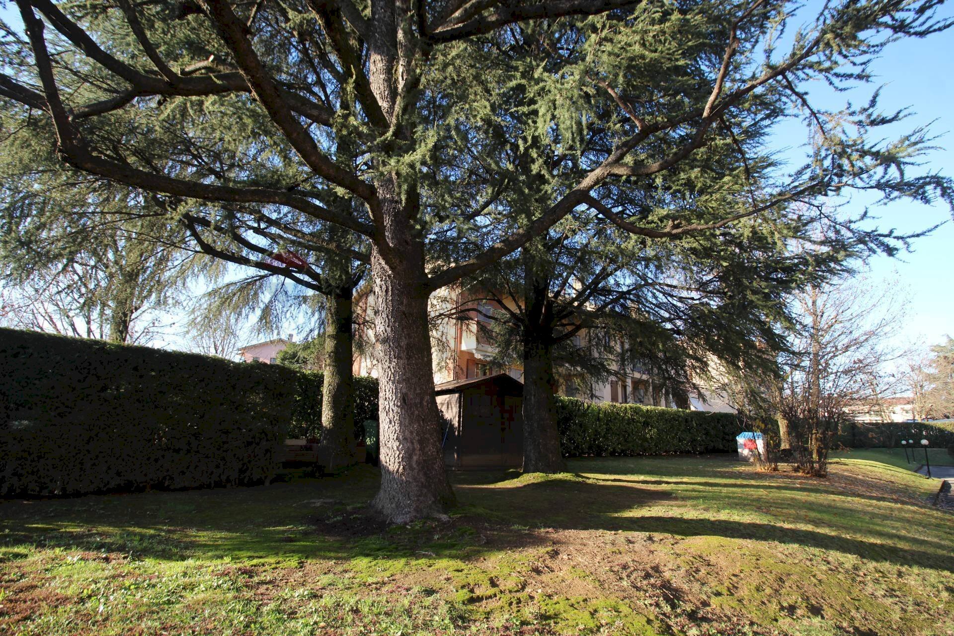 Giardino - Two-room apartment via banfi
 
4, Mezzago - photo 3