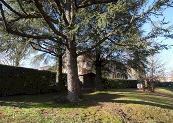 Giardino - Bilocale via banfi
 
4, Mezzago - foto 3