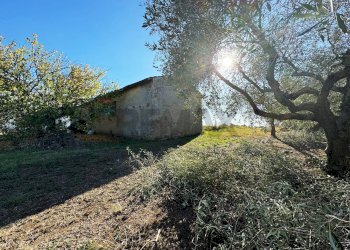 Giardino - Rustico Via Del Torraccio
53, Roma - foto 1