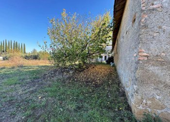 Giardino - Rustico Via Del Torraccio
53, Roma - foto 4