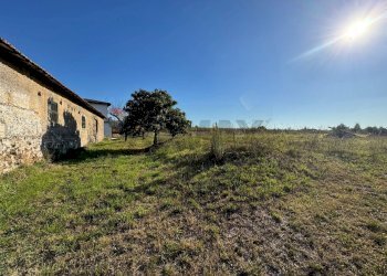 Giardino - Rustico Via Del Torraccio
53, Roma - foto 5