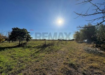 Giardino - Rustico Via Del Torraccio
53, Roma - foto 6