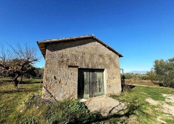 Casa all\'aperto - Rustico Via Del Torraccio
53, Roma - foto 10