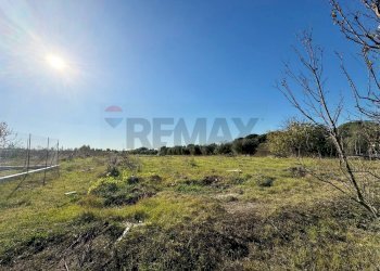 Vista delle montagne - Rustico Via Del Torraccio
53, Roma - foto 16