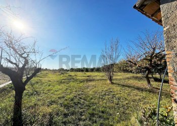 Giardino - Rustico Via Del Torraccio
53, Roma - foto 18