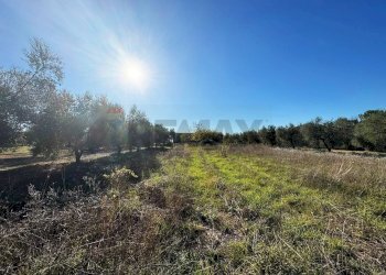 Vista delle montagne - Rustico Via Del Torraccio
53, Roma - foto 20