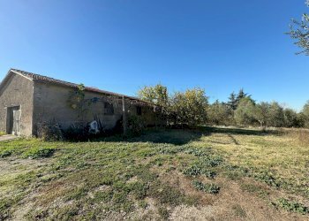 Giardino - Rustico Via Del Torraccio
53, Roma - foto 23