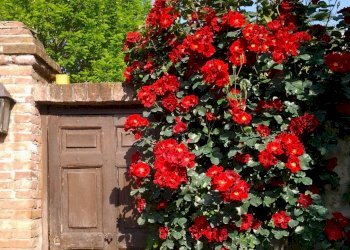 Foto 40 - Villa Strada Valle Massa
 
17, Castiglione Torinese - photo 40