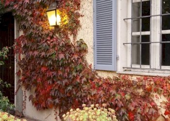 Foto 43 - Villa Strada Valle Massa
 
17, Castiglione Torinese - photo 43