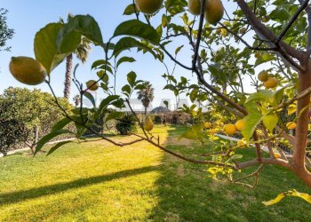 Giardino - Appartamento via cellini
 
28, Albenga - foto 36