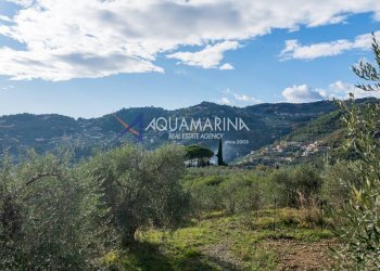 Foto 15 - Villa Imperia - foto 15