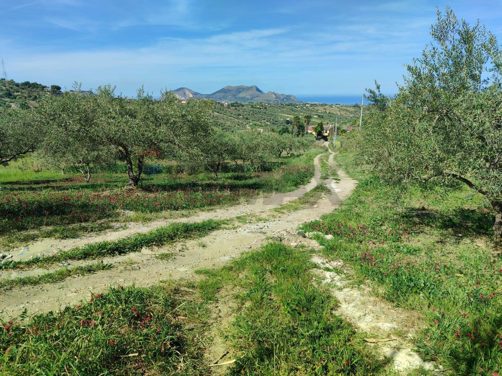 Vista delle montagne - Agricultural land CONTRADA BAMBINO, Casteldaccia - photo 2