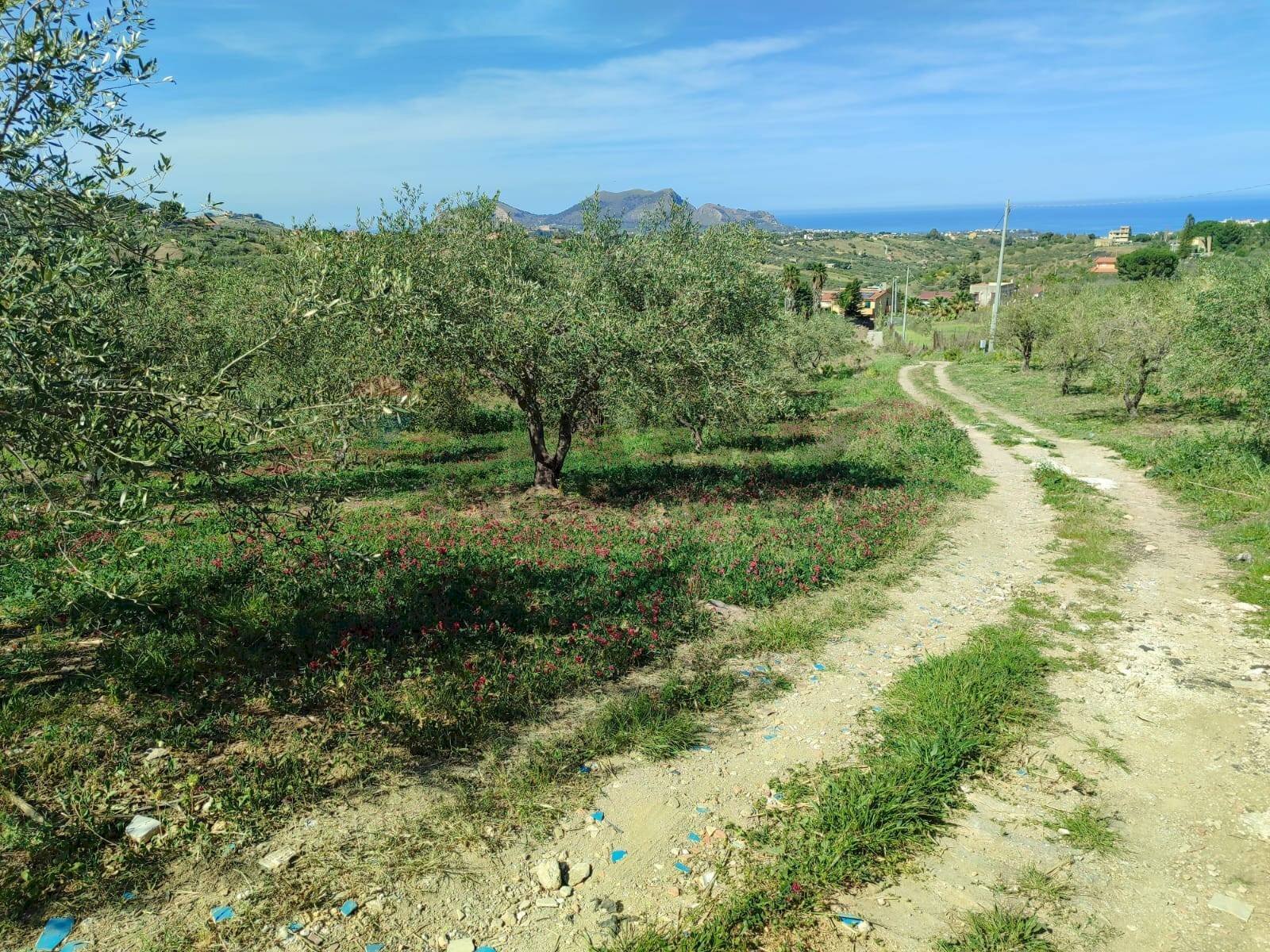 Giardino - Agricultural land CONTRADA BAMBINO, Casteldaccia - photo 3
