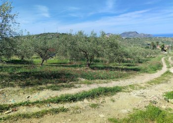 Vista delle montagne - Agricultural land CONTRADA BAMBINO, Casteldaccia - photo 1