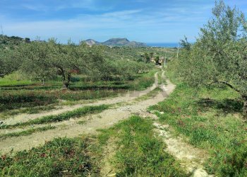 Vista delle montagne - Agricultural land CONTRADA BAMBINO, Casteldaccia - photo 2