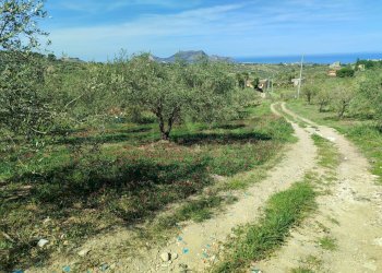 Giardino - Agricultural land CONTRADA BAMBINO, Casteldaccia - photo 3