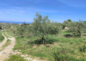 Giardino - Agricultural land CONTRADA BAMBINO, Casteldaccia - photo 4