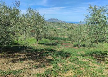 Vista delle montagne - Agricultural land CONTRADA BAMBINO, Casteldaccia - photo 6