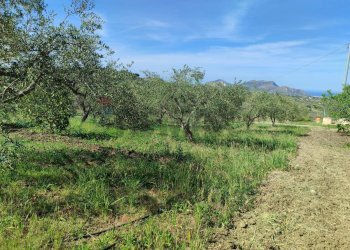 Giardino - Agricultural land CONTRADA BAMBINO, Casteldaccia - photo 8