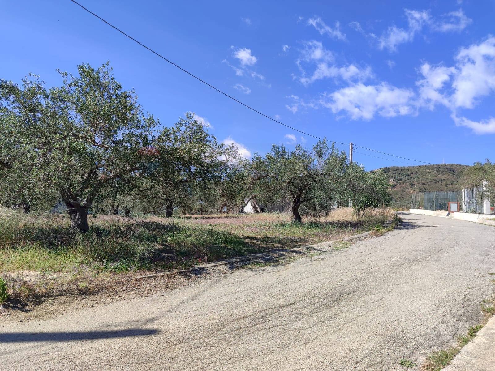 Vista delle montagne - Agricultural land Strada Mirio, Casteldaccia - photo 1