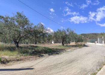 Vista delle montagne - Agricultural land Strada Mirio, Casteldaccia - photo 1