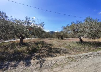 Non correlato - Agricultural land Strada Mirio, Casteldaccia - photo 4