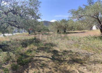 Vista delle montagne - Agricultural land Strada Mirio, Casteldaccia - photo 5