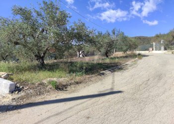 Giardino - Agricultural land Strada Mirio, Casteldaccia - photo 8