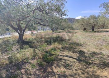 Vista delle montagne - Agricultural land Strada Mirio, Casteldaccia - photo 10