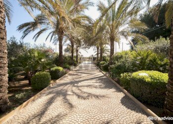 Giardino - Villa Castelvetrano - foto 9