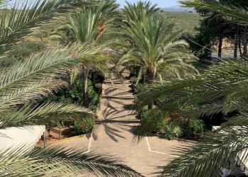 Giardino - Villa Castelvetrano - foto 16