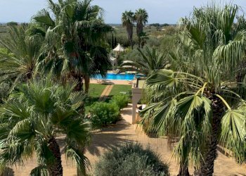 Giardino - Villa Castelvetrano - foto 17