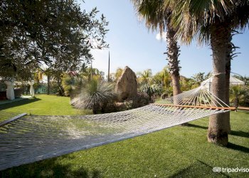 Giardino - Villa Castelvetrano - foto 23