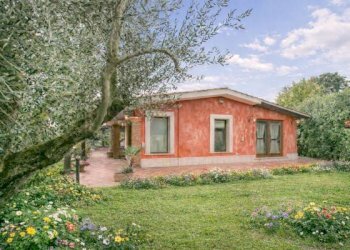 Foto 60 - Villa Viale Ascanio
 
36, Pomezia - foto 60