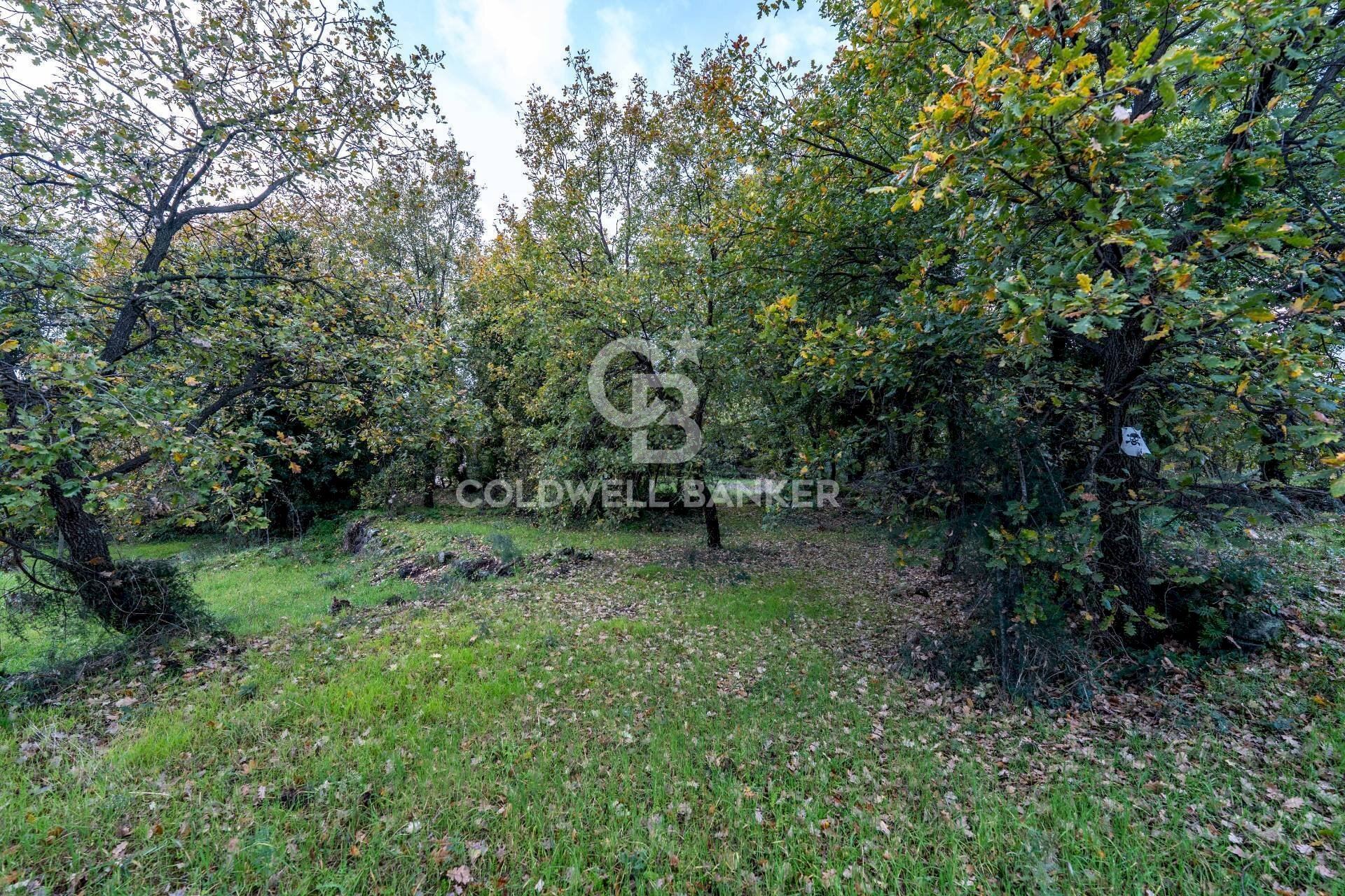 Foto 1 - Terreno agricolo Via Cimitero Civita, Zafferana Etnea - foto 1