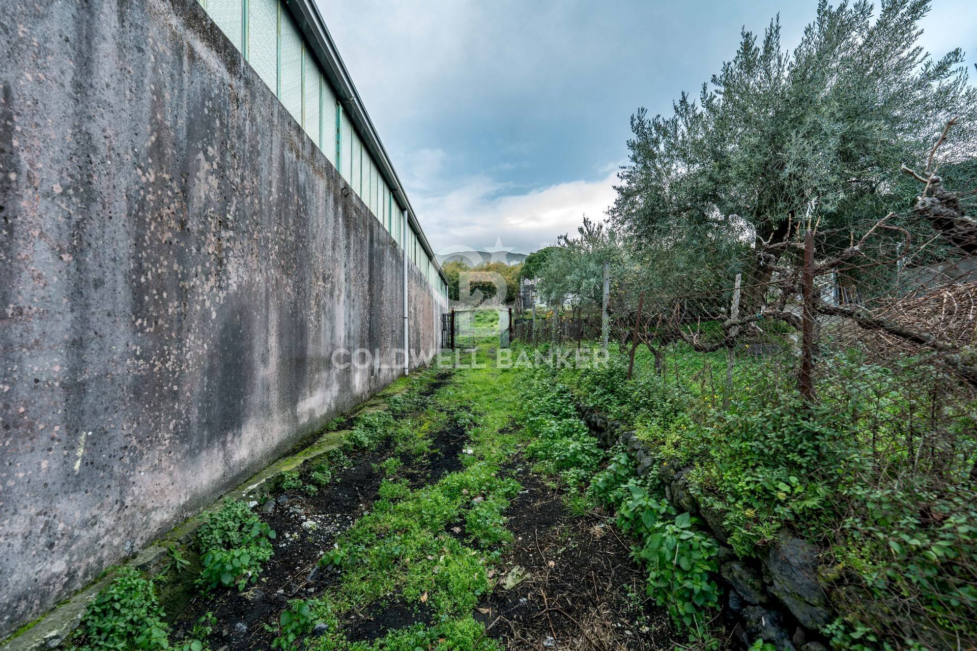 Foto 2 - Terreno agricolo Via Cimitero Civita, Zafferana Etnea - foto 2
