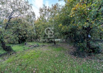 Foto 1 - Terreno agricolo Via Cimitero Civita, Zafferana Etnea - foto 1