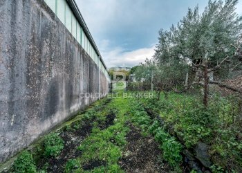 Foto 2 - Terreno agricolo Via Cimitero Civita, Zafferana Etnea - foto 2