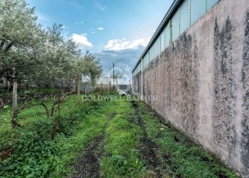 Foto 3 - Terreno agricolo Via Cimitero Civita, Zafferana Etnea - foto 3
