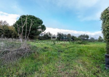 Foto 4 - Terreno agricolo Via Cimitero Civita, Zafferana Etnea - foto 4