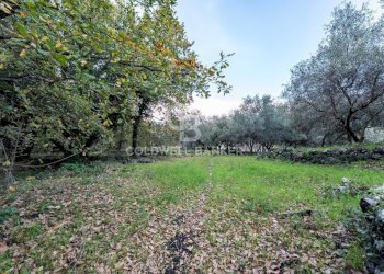 Foto 7 - Terreno agricolo Via Cimitero Civita, Zafferana Etnea - foto 7