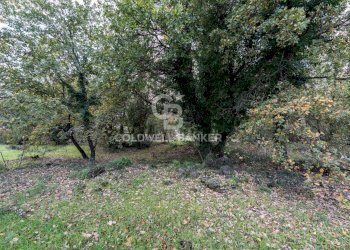 Foto 8 - Terreno agricolo Via Cimitero Civita, Zafferana Etnea - foto 8