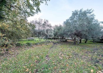 Foto 9 - Terreno agricolo Via Cimitero Civita, Zafferana Etnea - foto 9