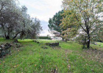 Foto 10 - Terreno agricolo Via Cimitero Civita, Zafferana Etnea - foto 10