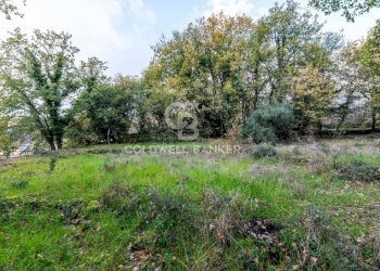 Foto 12 - Terreno agricolo Via Cimitero Civita, Zafferana Etnea - foto 12
