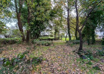 Foto 13 - Terreno agricolo Via Cimitero Civita, Zafferana Etnea - foto 13