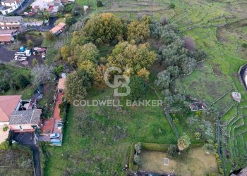 Foto 16 - Terreno agricolo Via Cimitero Civita, Zafferana Etnea - foto 16