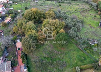 Foto 18 - Terreno agricolo Via Cimitero Civita, Zafferana Etnea - foto 18