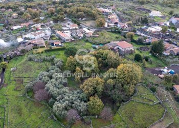 Foto 19 - Terreno agricolo Via Cimitero Civita, Zafferana Etnea - foto 19